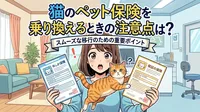 猫のペット保険を乗り換えるときの注意点は？